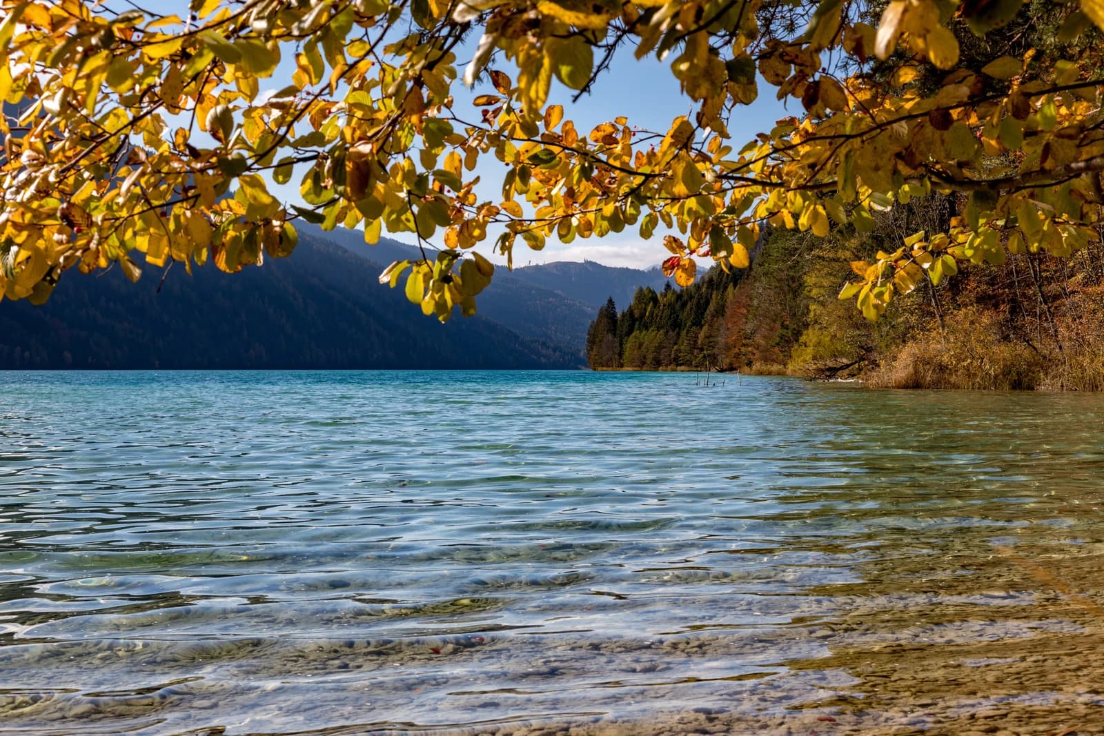 In Kärnten kommen wir vorbei. Im Rest von Österreich kommt die Post.